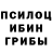 Галлюциногенные грибы Psilocybe Abdiev Myrzabek