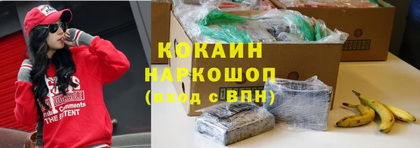метадон Гусев