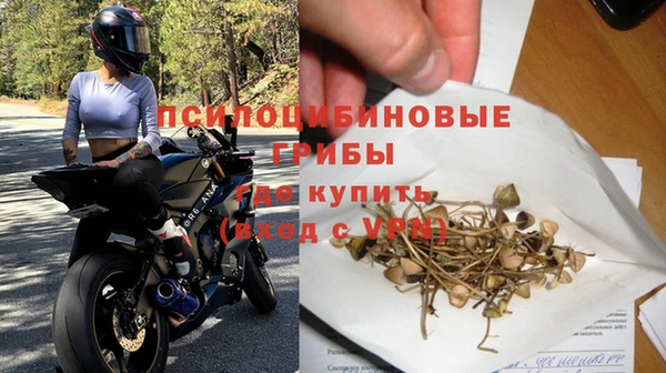 метадон Гусев