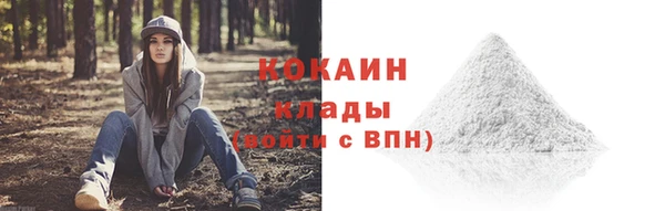 метадон Гусев