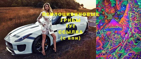 метадон Гусев